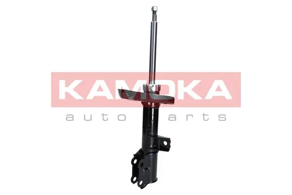 Shock Absorber 2000061