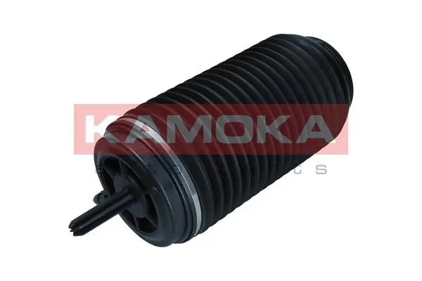Air Spring, suspension 2079061
