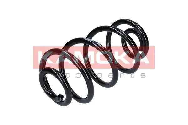 Suspension Spring 2120074