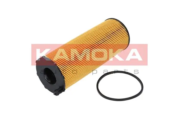 Oil Filter F113301