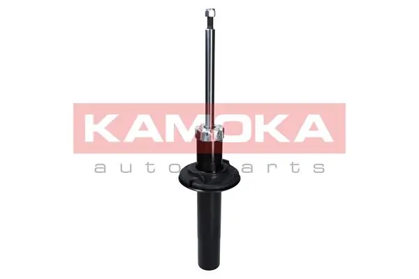 Shock Absorber 2000649