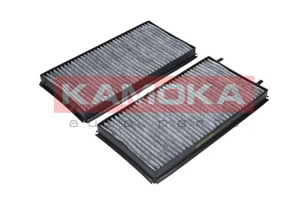 Filter, cabin air F505601