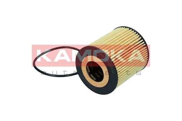 Oil Filter F121901