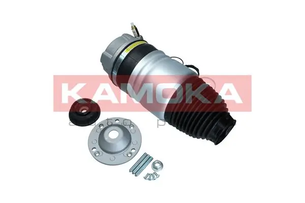 Air Spring, suspension 2079059