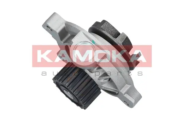 Water Pump, engine cooling T0271