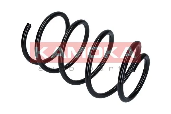 Suspension Spring 2110319