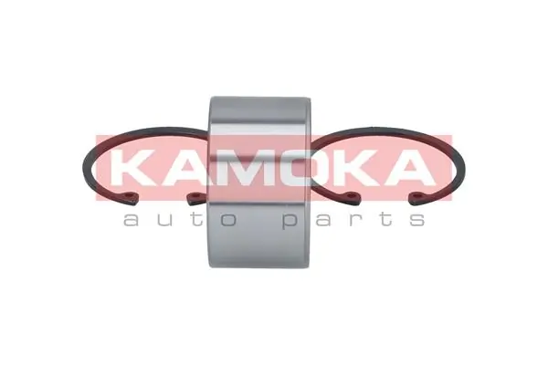 Wheel Bearing Kit 5600013