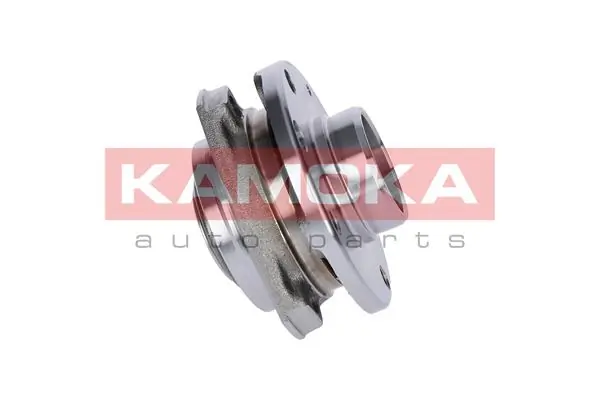 Wheel Bearing Kit 5500062
