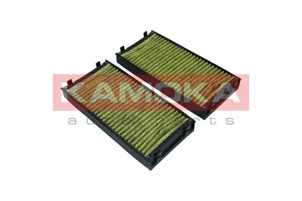 Filter, cabin air 6080061