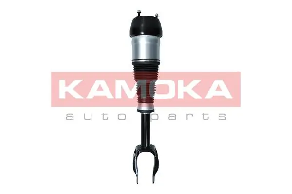 Air Suspension Strut 2070002