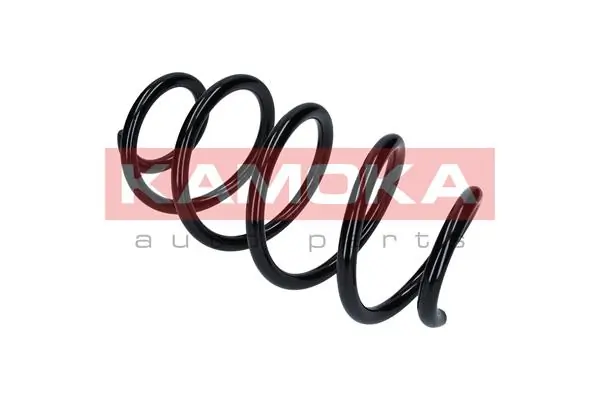 Suspension Spring 2110352