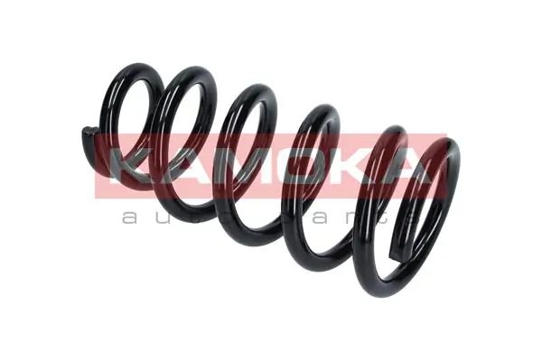 Suspension Spring 2120286