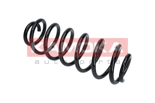 Suspension Spring 2120284