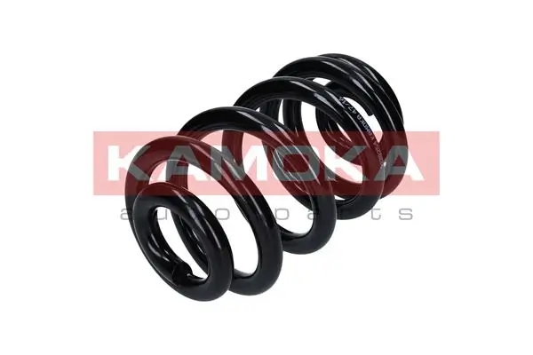 Suspension Spring 2120254