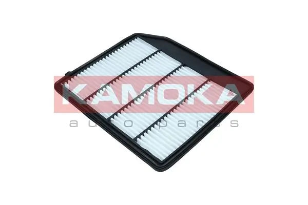 Air Filter F258501