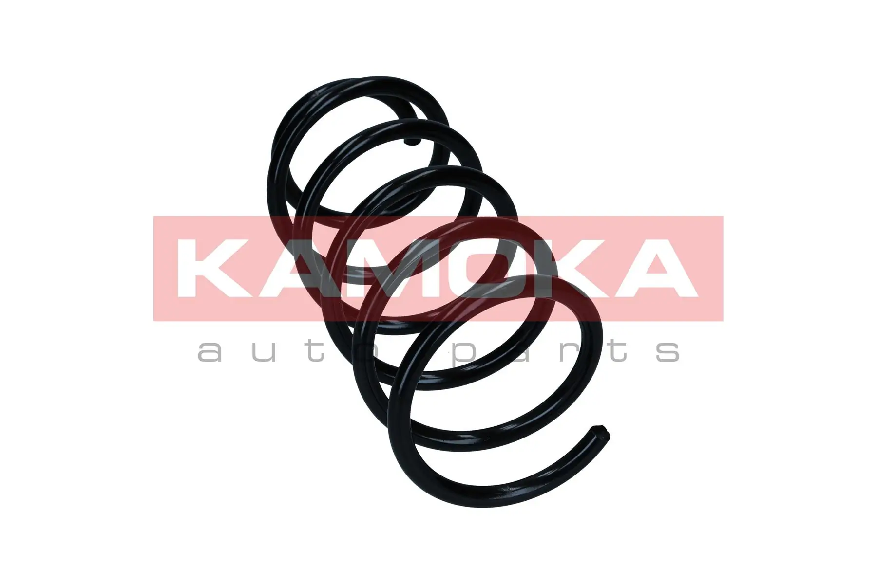 Suspension Spring 2110433