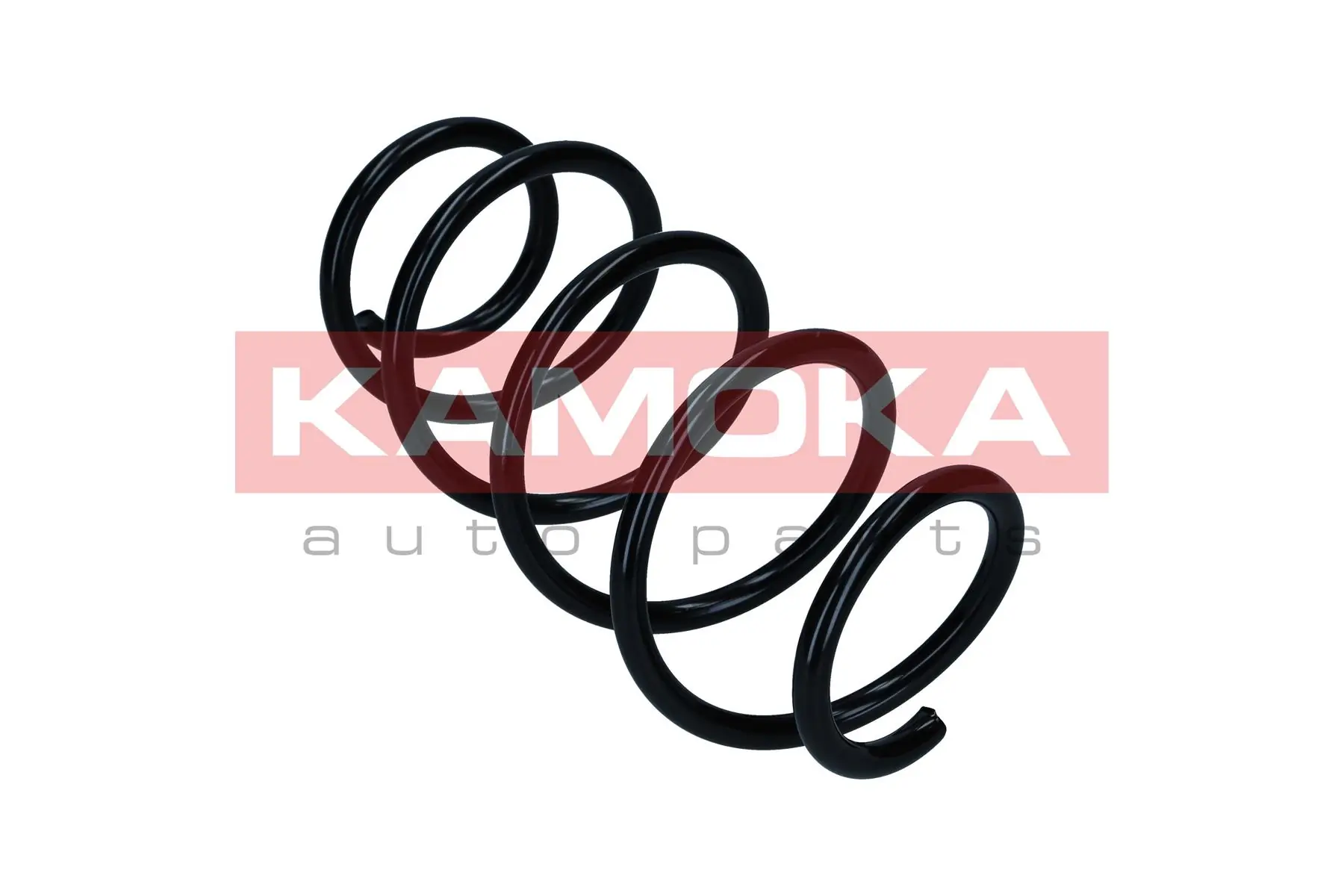 Suspension Spring 2110818