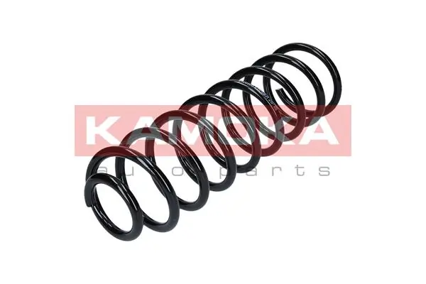 Suspension Spring 2120134