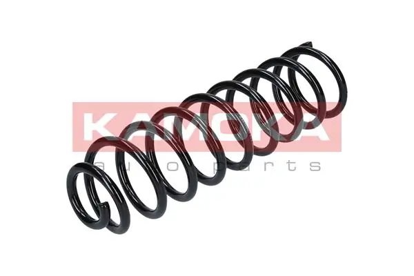 Suspension Spring 2120081