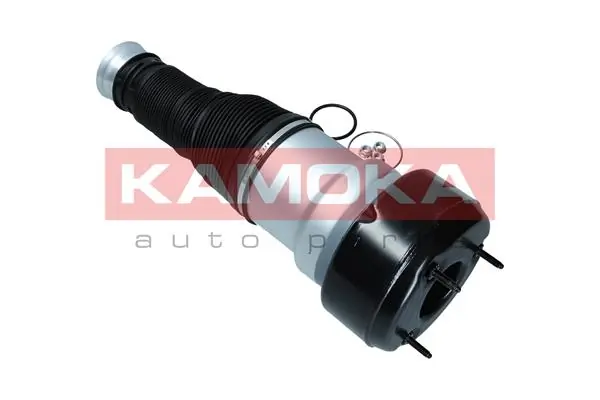 Air Spring, suspension 2079038
