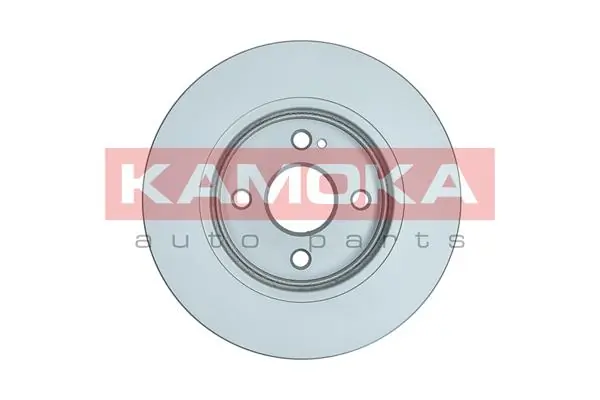 Brake Disc 1031088