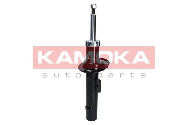 Shock Absorber 2001048