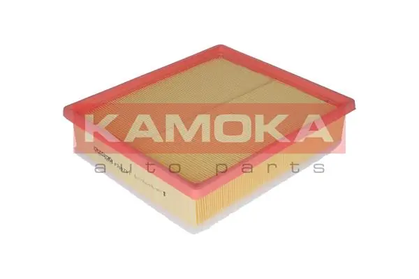 Air Filter F209701