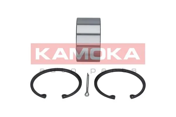 Wheel Bearing Kit 5600023