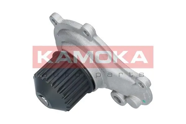 Water Pump, engine cooling T0076