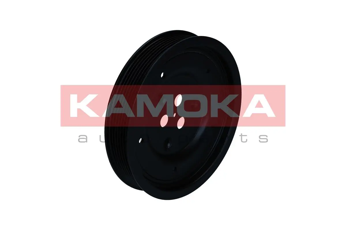 Belt Pulley, crankshaft RW075