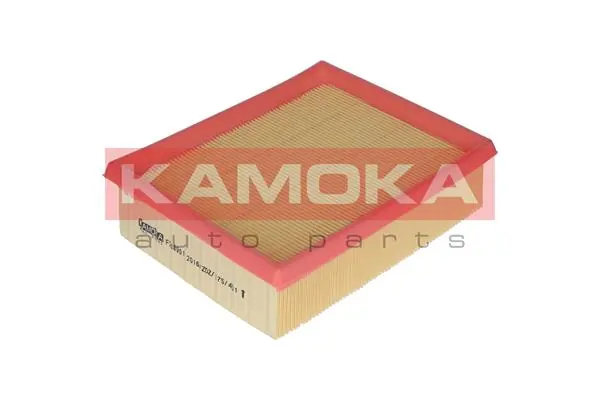 Air Filter F208901