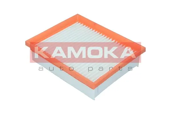 Air Filter F253801