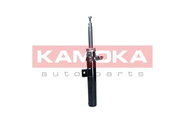 Shock Absorber 2001113