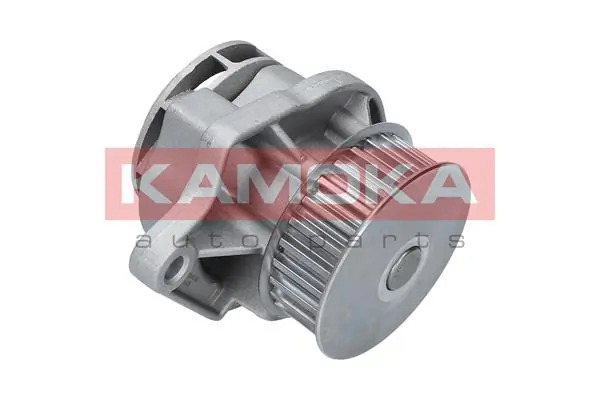 Water Pump, engine cooling T0248