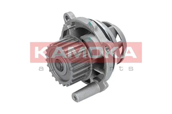 Water Pump, engine cooling T0028
