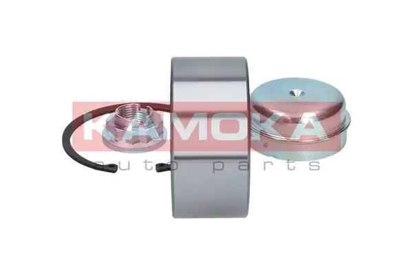 Wheel Bearing Kit 5600058