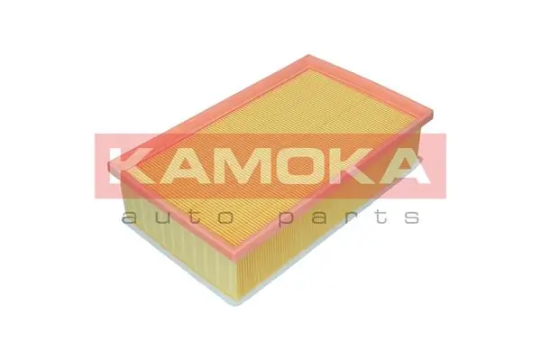 Air Filter F248501