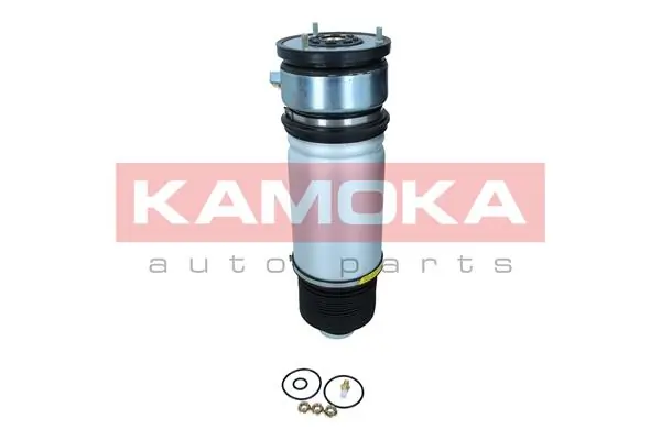 Air Spring, suspension 2079019