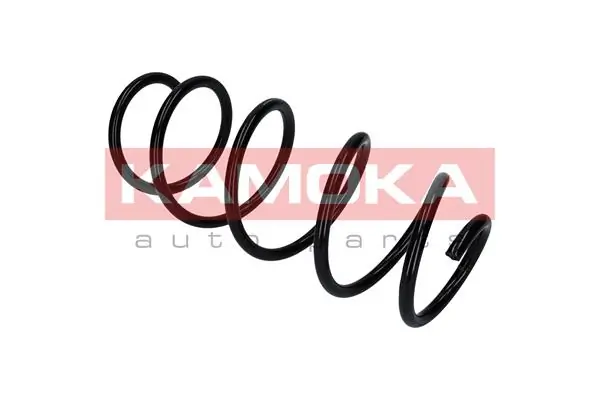 Suspension Spring 2110283