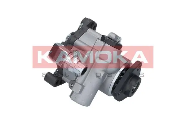 Hydraulic Pump, steering PP137