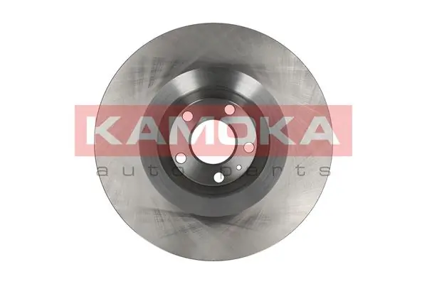 Brake Disc 1032476