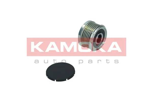 Alternator Freewheel Clutch RC020