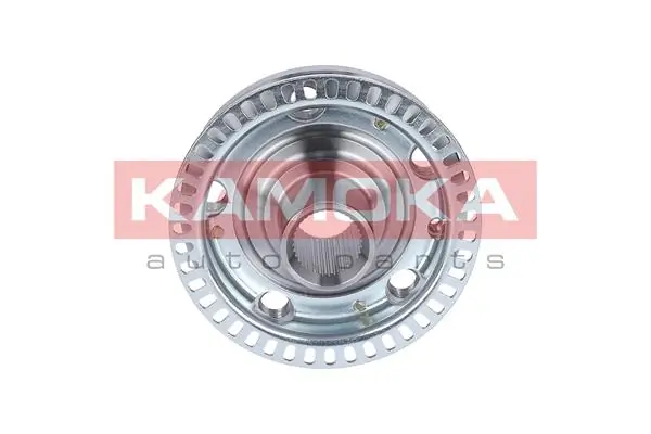 Wheel Hub 5500116
