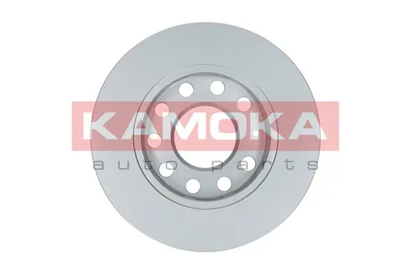 Brake Disc 1031112