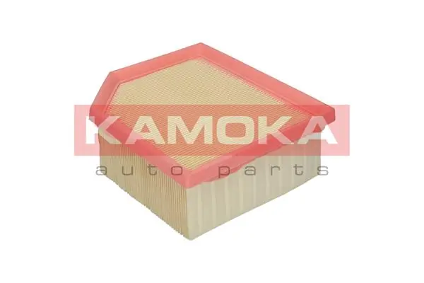 Air Filter F228301