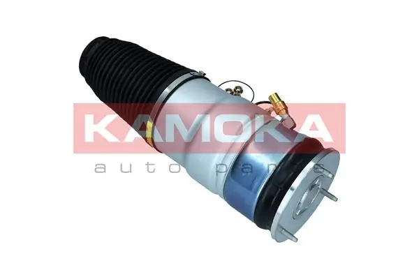 Air Spring, suspension 2079066