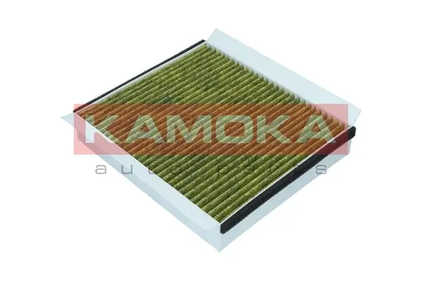 Filter, cabin air 6080066