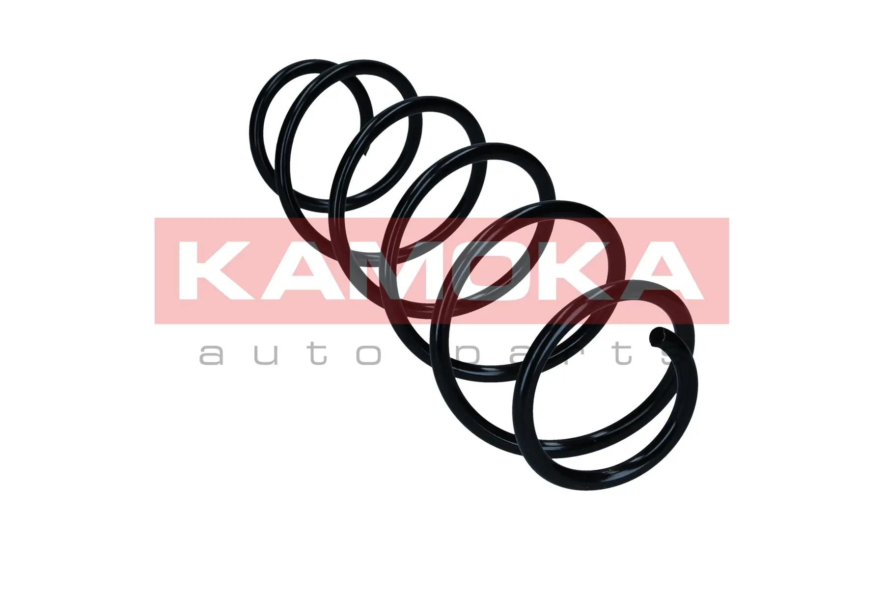 Suspension Spring 2110456