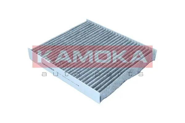 Filter, cabin air F521201