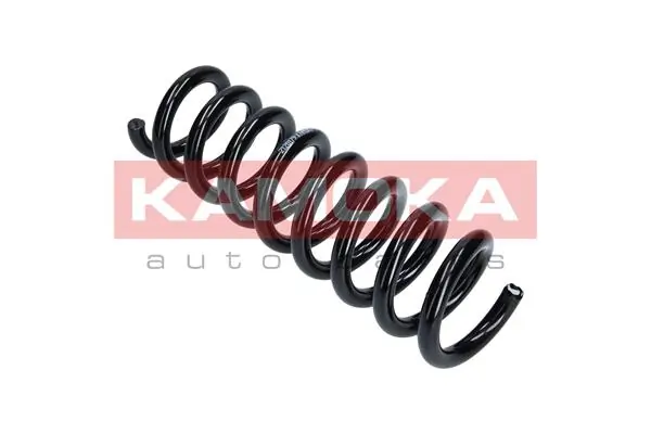 Suspension Spring 2120179